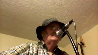 Chicken Truck, by John Anderson