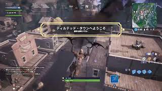 のんびりフォートナイト