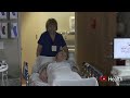 Transesophageal Echocardiogram TEE