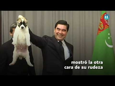 Vladímir Putin... ¿Amante de los perros?