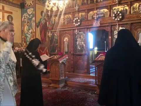 20191215 NICOLAE BALASOIU –  PILDA CELOR POFTITI LA CINA