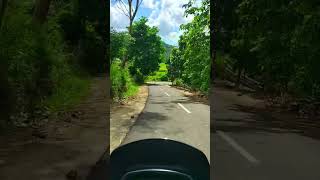 Download lagu Pemandangan hijau alam pedesaan yang indah #shorts #viral #trending mp3 Download lagu Pemandangan hijau alam pedesaan yang indah #shorts #viral #trending mp3