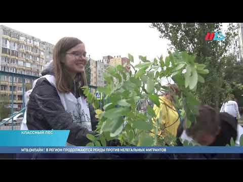 Ирина Соловьева дала старт  экологической  акции «Классный лес»