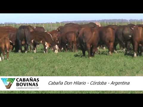 Cabañasbovinas.com - Hugo Pariani