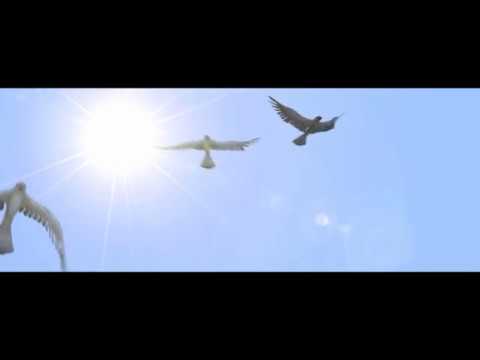 Museu Arqueológico de Pythagorio Samos