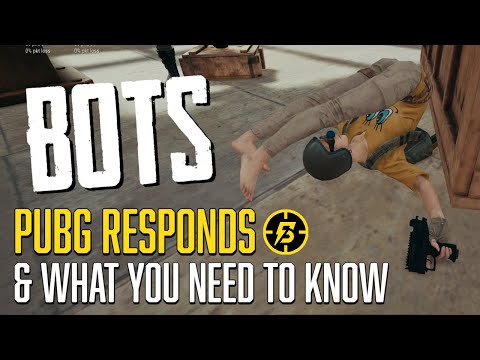 BOTS! PUBG's Response & Everything You Need To Know