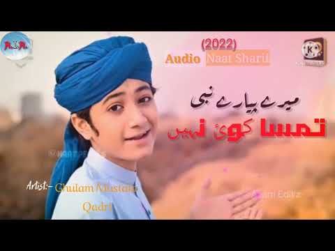 Mere pyare nabi Tumsa koi nhi/Superhit naat sharif #gulammustafaqadri  ka