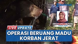 Beruang Madu Terjerat di Batanghari, BKSDA Lakukan Operasi Evakuasi
