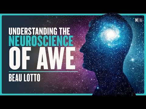 The Neuroscience Of Awe, Distraction and Anxiety - Beau Lotto | Modern Wisdom Podcast 376