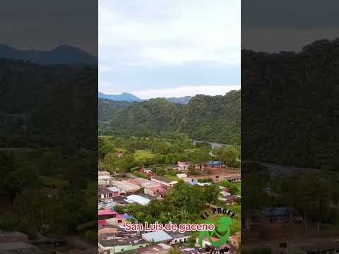 San Luis de Gaceno.