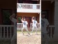 Parudeesa Bheeshmaparvam Shortdance Sreenathbhasi Soubinshahir