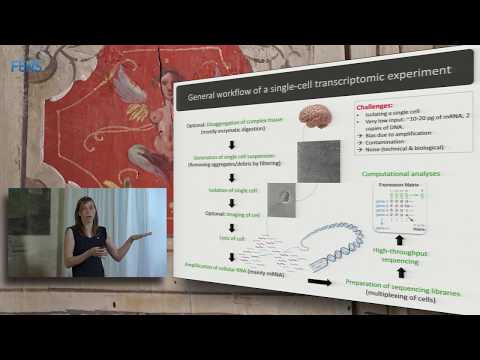 Barbara Treutlein on Reconstructing human neurogenesis using single-cell transcriptomics