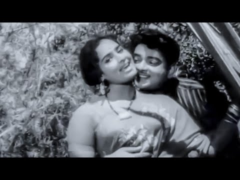 Harinath, KR Vijaya Superhit Song - Rasanu Premalekhalenno Song | Sridevi Movie Video Songs