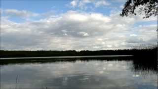 Max Cooper Live - Transitions* Mix         /         Nokia N8