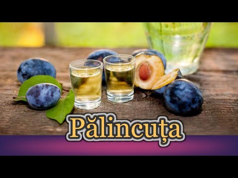 Ionica Morosanu – Palincuta Video Ionica Morosanu – Palincuta Video