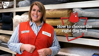 How to Choose the Right Dog Bed | Tractor Supply Co.