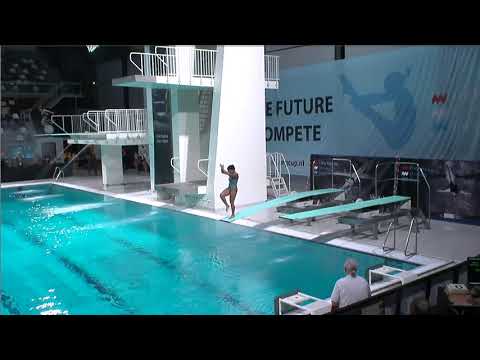 Girls A 1m - Eindhoven Diving Cup 2019