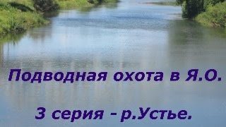 Ссылка