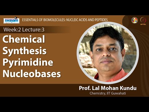 Essentials of Biomolecules Nucleic Acids and Peptides