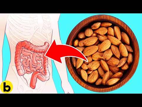 17 Powerful Reasons Why You Should Start Eating Almonds Every Day