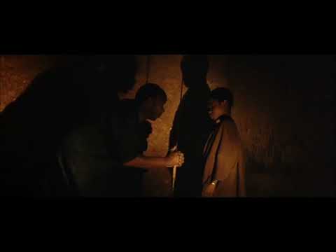 L'ENFANT LION de Patrick Grandperret  - Bande-annonce