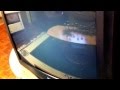 Opening To Dino Star 1993 VHS French Copy