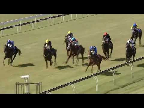 MAHARANEE - 2022 #4Racing SA 🇿🇦 Fillies Nursery Gr2