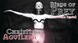 Christina Aguilera - Birds of Prey (Ladytron Remix)