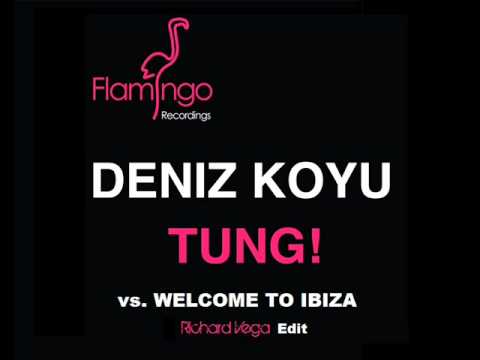 Deniz Koyu - Tung! vs. Welcome to Ibiza (Richie V Edit)