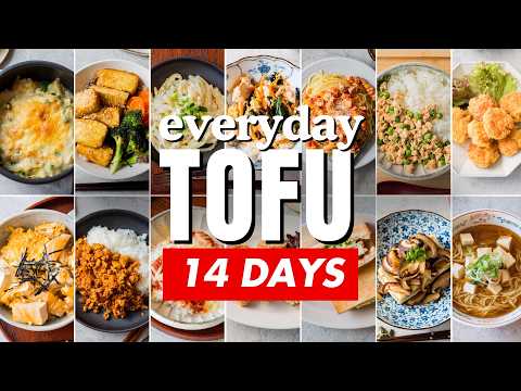 Easy Tofu Recipes | Everyday Tofu: 14 Delicious Ways to Enjoy Tofu! | Tofu Cookbook