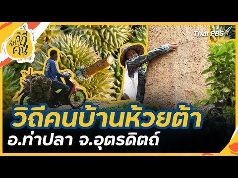 บ้านห้วยต้า