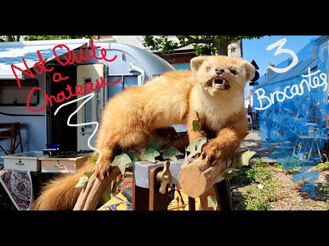 Not Quite a Chateau DIY 194 - Three French Brocantes in One Vlog - and New Taxidermy for Tony
