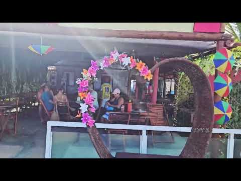 Sítio do Conde - Bahia  #litoralnorteba   #bahia 