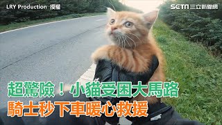 小貓受困大馬路　騎士秒下車暖心救援