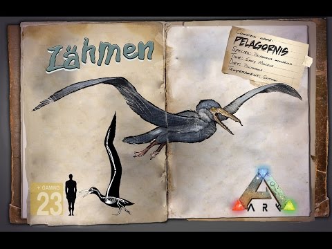 ARK‬: Survival Evolved [GUIDE/Deutsch] ** Pelagornis zähmen **