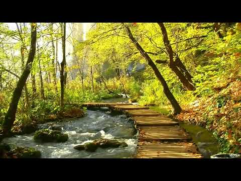 Música para sanar todos los dolores del cuerpo, alma y espíritu