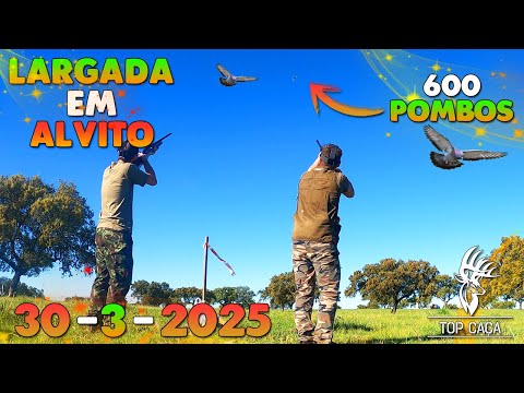 START IN ALVITO 30-3-2025