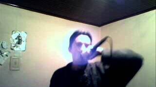 Despised Icon - The Sunset Will Never Charm Us (Vocal Cover)