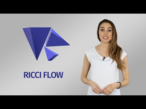 Warped Dynamics - Ricci Flow