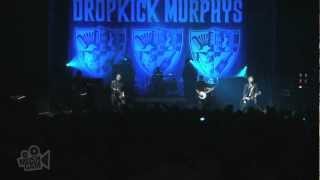 Dropkick Murphys - Fighting 69th   (Live in Sydney) | Moshcam