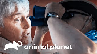 Thumbnail del capítulo