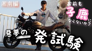 府中で一発試験受けた件【VTR250】