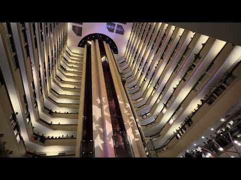 The 2025 Kentucky All State Choir sings The National Anthem | KMEA Conference 2025