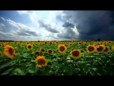 Vrtovi pobožnih - 1 dio