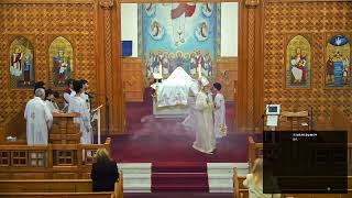 Jan 26, 2025 Sunday Divine Liturgy