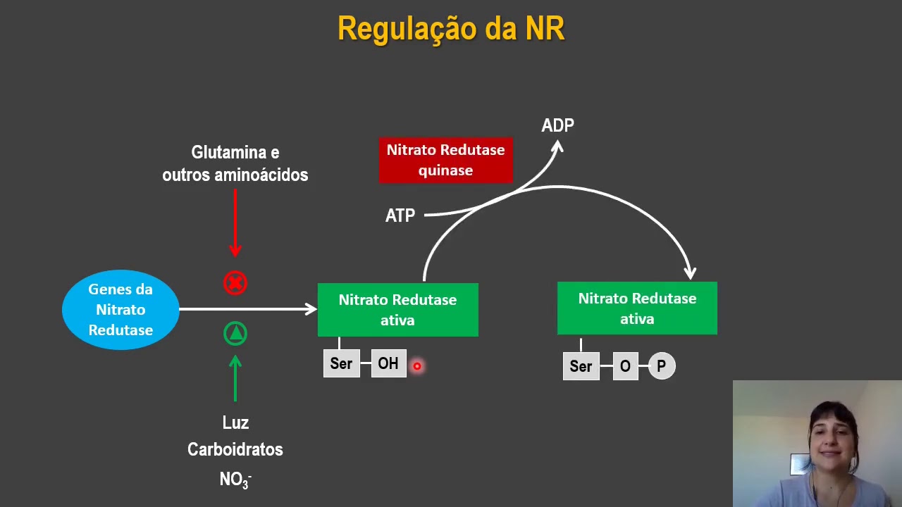Fisiologia Vegetal - Metabolismo do Nitrogênio