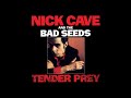 Nick Cave & The Bad Seeds - City of Refuge (1988)