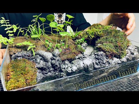 How I made a Stunning Paludarium with a Flowing Stream | Paludarium Build