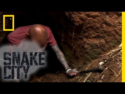 Python Death Crawl | Snake City