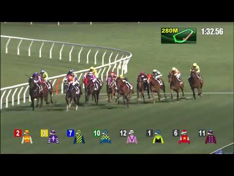 20/4/2022 (595) Diamond Star - J Moreira